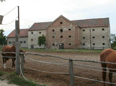 magtar2.jpg